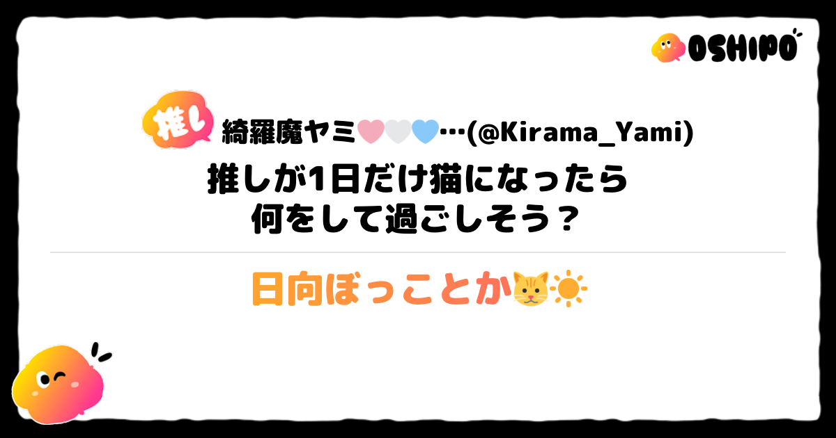 日向ぼっことか🐱☀️